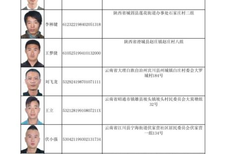【更新】涉金边一诈骗窝点 中国警方通缉190名在逃人员