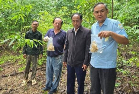 拉塔纳基里17人吃蘑菇中毒被送医