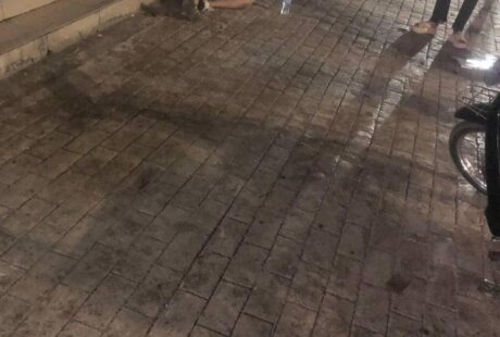 西港中国城一名中国男子坠楼