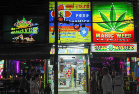 泰国大麻合法两年后 将再次列大麻为毒品