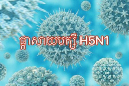 一柬埔寨女童死于H5N1禽流感