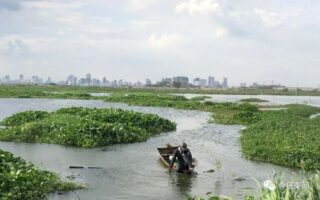 一中国男子尸体被人运走抛尸湖中